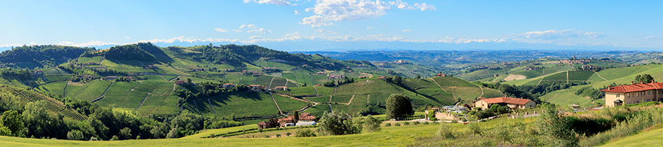 panoramica delle Langhe